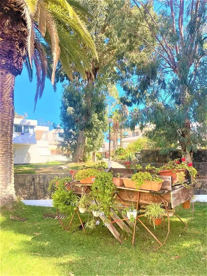 Apartment Marysol - Lovely Studio Tenerife Sur Arona