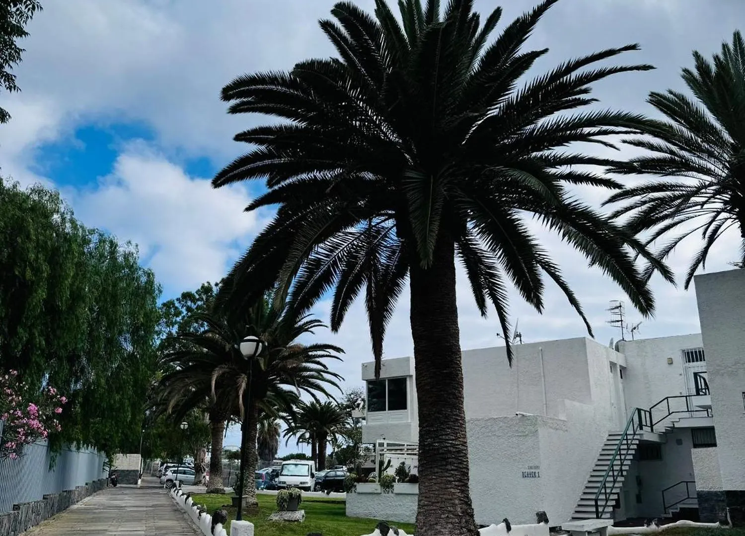 Apartment Marysol - Lovely Studio Tenerife Sur Arona  Spain