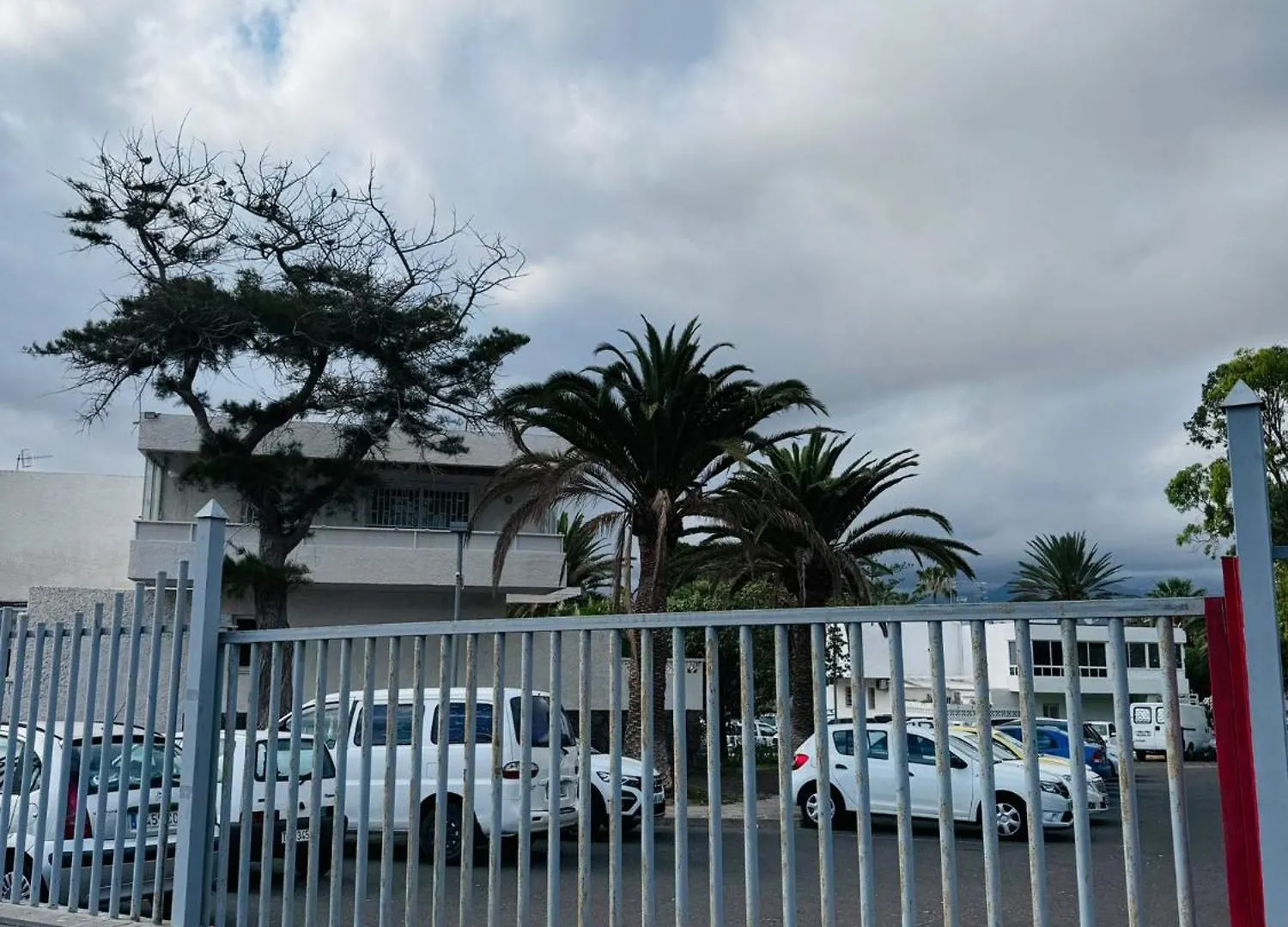 Apartment Marysol - Lovely Studio Tenerife Sur Arona